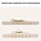 Baby Nest, Baby Lounger for Infant & Newborn Babies, 100% cotton